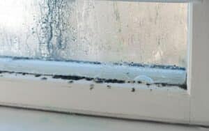 Why Is My House Humid?