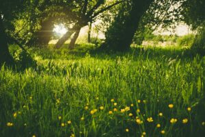 What Is the Best Time of Year To Buy a New HVAC System