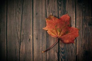 Fall Maintenance Tips From Your Houston Qualified Trane Specialist